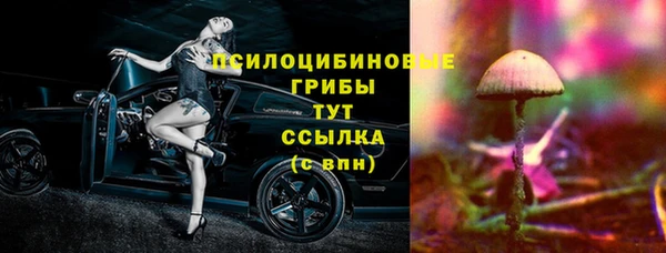 сатива Алексин