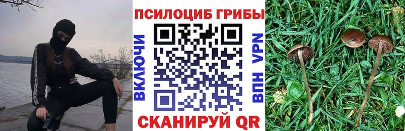 Псилоцибиновые грибы прущие грибы  цены наркотик  Тара 