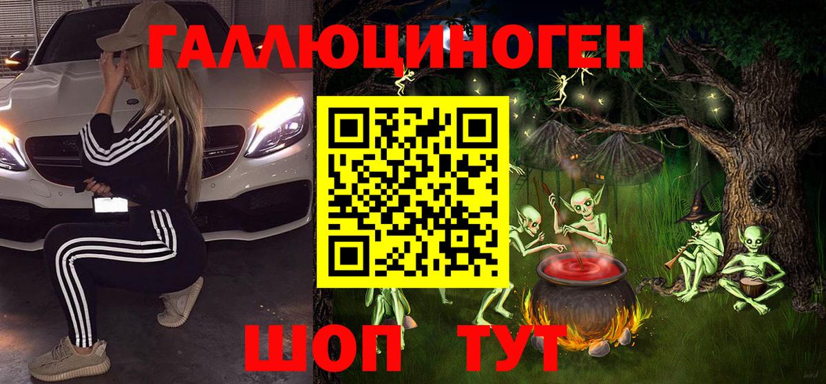 что такое   Вход с VPN  Псилоцибиновые грибы GOLDEN TEACHER  Тара  Псилоцибиновые грибы Psilocybe 