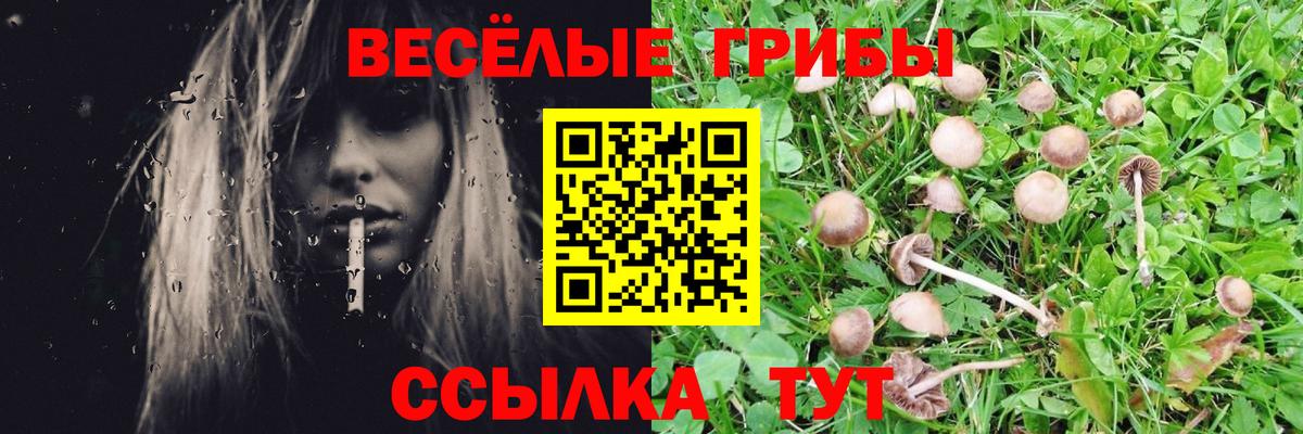 Галлюциногенные грибы ЛСД Тара