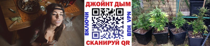 Шишки марихуана THC 21%  Тара 